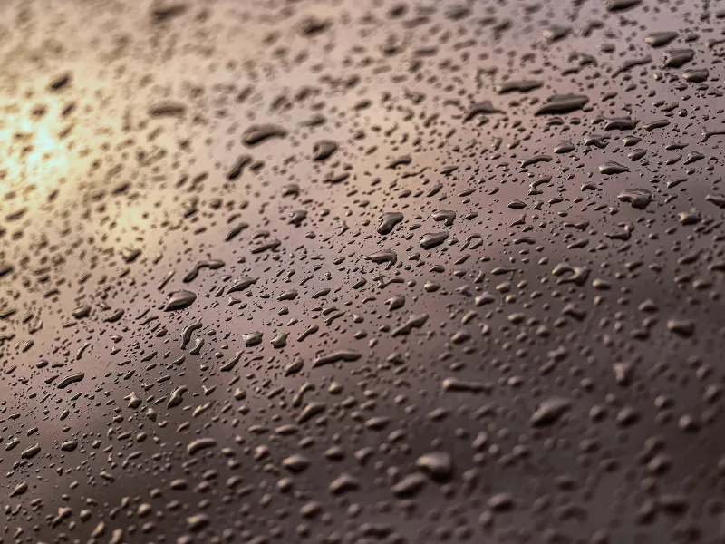 施工前の塗装表面。水滴が鈍く広がっている様子
